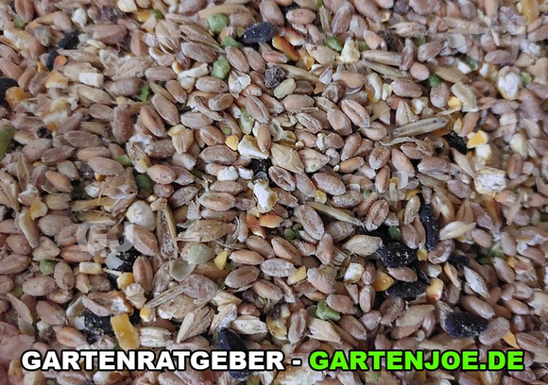 Grosittichfutter 25 Kg Gunstig